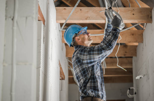 Best Electric Panel Repair  in Bridgeport, WV